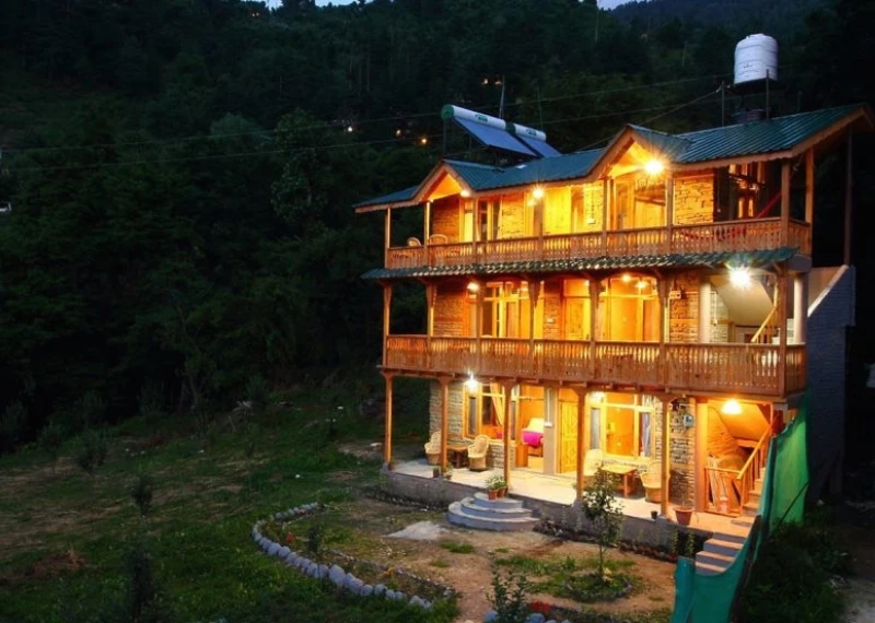 Deodar Cedar Wood – The Timeless Choice For Interiors & Exteriors